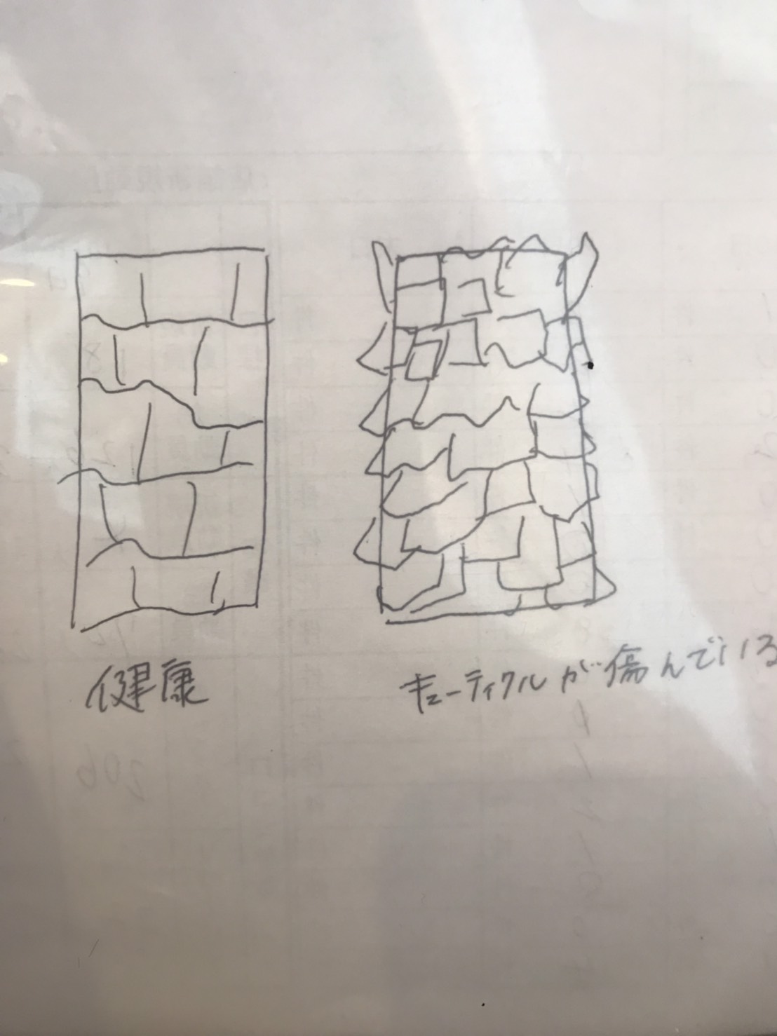 髪の乾燥が気になる方へ髪のプロがおススメする洗い流さないトリートメントの種類と必要性４つ 奈良県で口コミが人気の 美容室 ヘアサロン ウェルズ公式ブログ