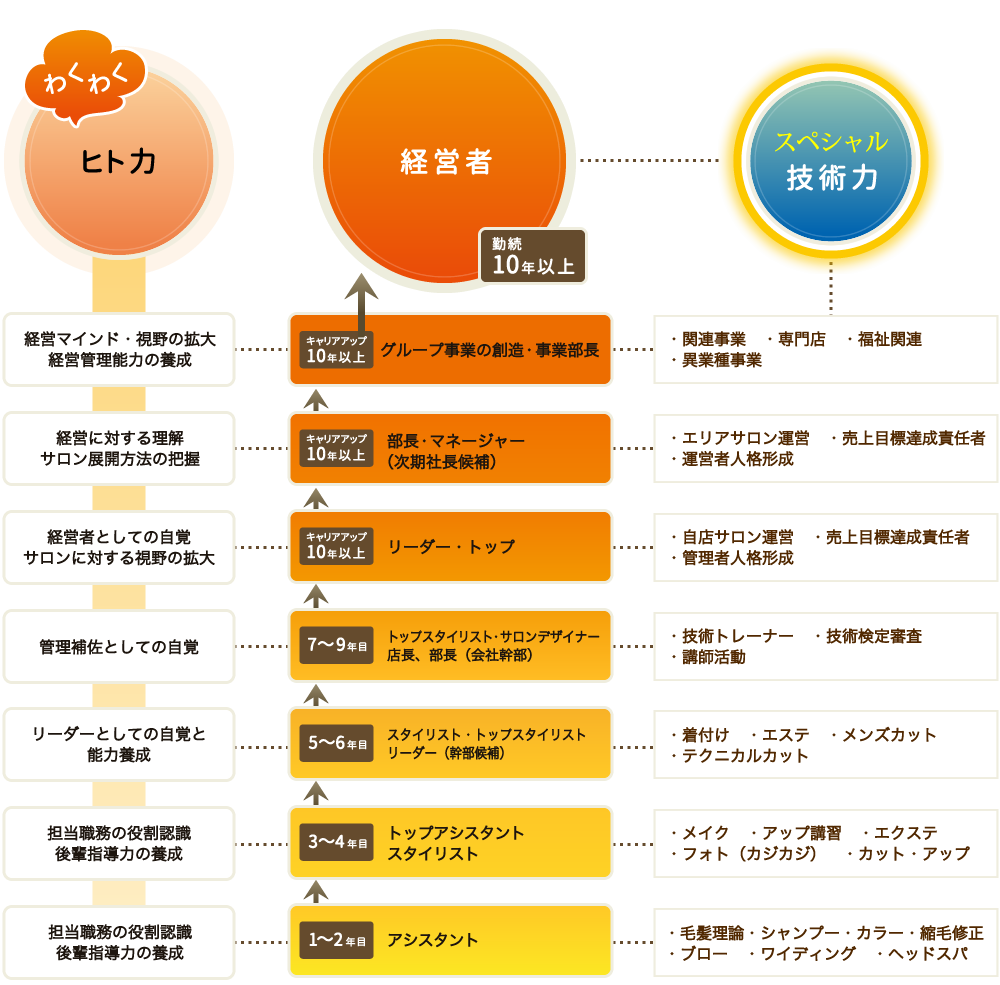 カットウェルズのキャリアアップ